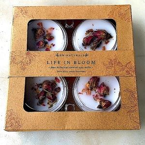 DW HOME CANDLES NATURALS LIFE IN BLOOM SET OF 4  WAX MELTS NIB 1.6 OZ EACH